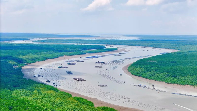 image-hanh-trinh-kien-tao-sieu-do-thi-bien-vinhomes-can-gio-song-xanh-ben-vung-40