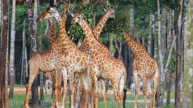 image-vinhomes-can-gio-kham-pha-he-sinh-thai-tien-ich-dang-cap-quoc-te-10