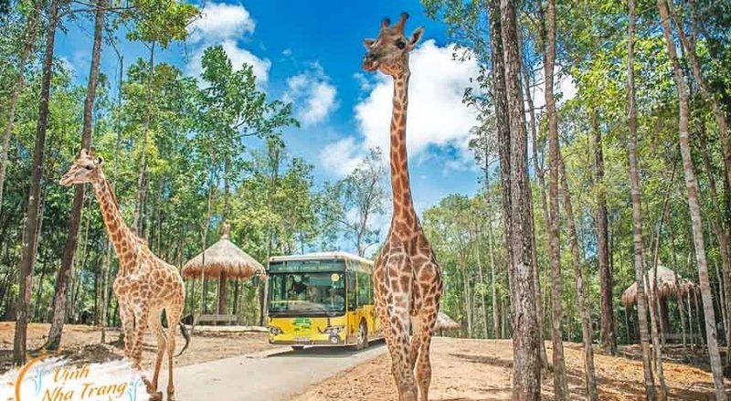 image-vinoasis-nha-trang-30