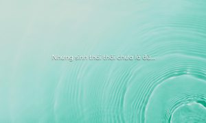 File dao tao chinh sach VGC page 0007