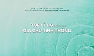 File dao tao chinh sach VGC page 0009