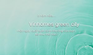 File dao tao chinh sach VGC page 0013