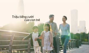 File dao tao chinh sach VGC page 0014