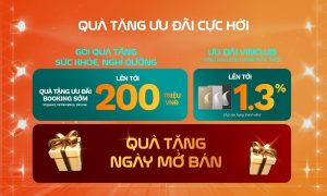 File dao tao chinh sach VGC page 0030