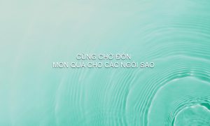 File dao tao chinh sach VGC page 0035